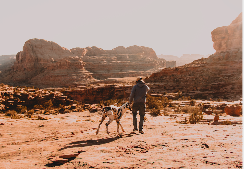 jeep-arch-trail-dog-friendly-moab